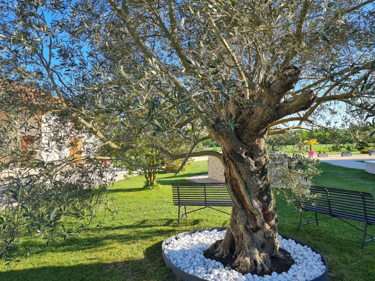 Willa Domaine Du Cuiset -Gite Des Combles Saint-André-sur-Vieux-Jonc Zewnętrze zdjęcie